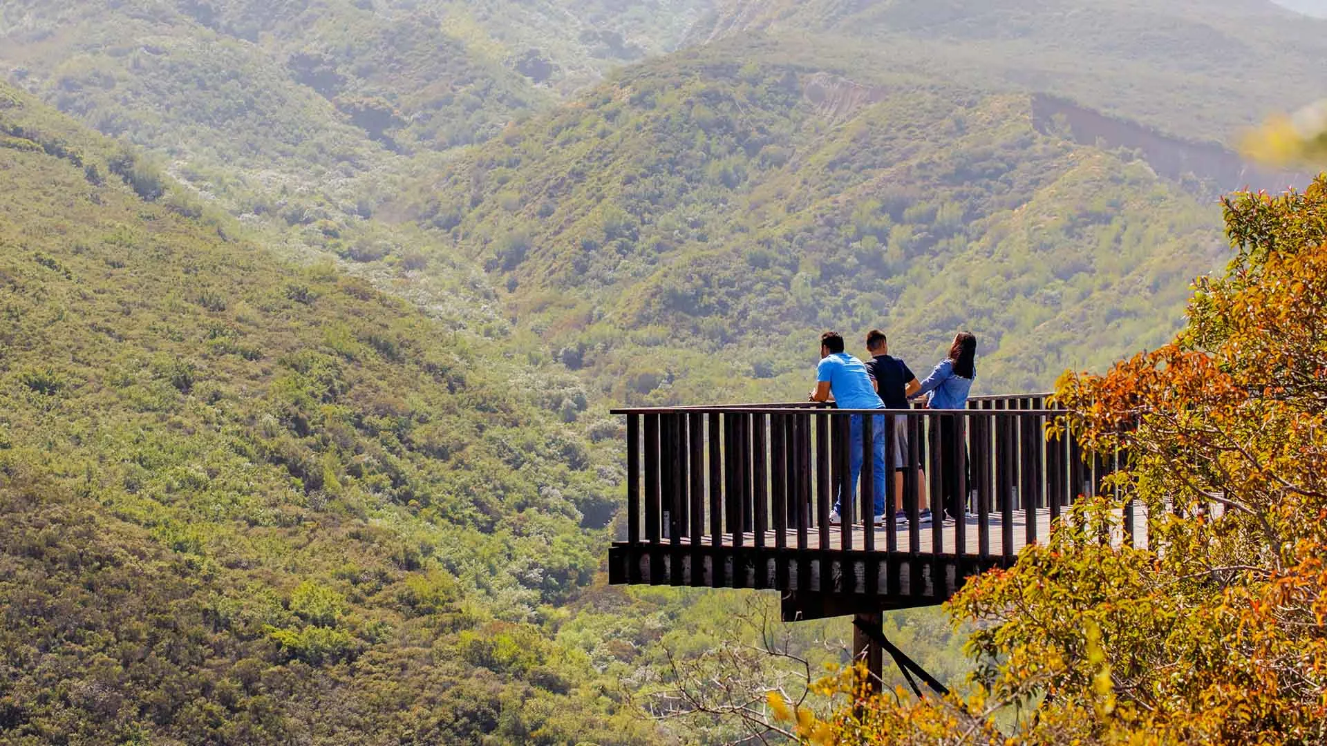 Visitors looking across a canyon from the Echo Lookout platform