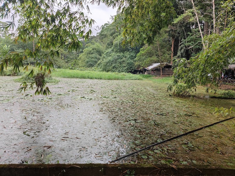 Botanical Garden of Banco