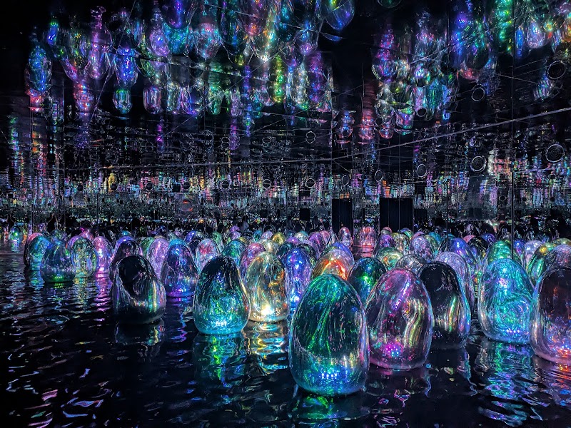 TeamLab's Future Park