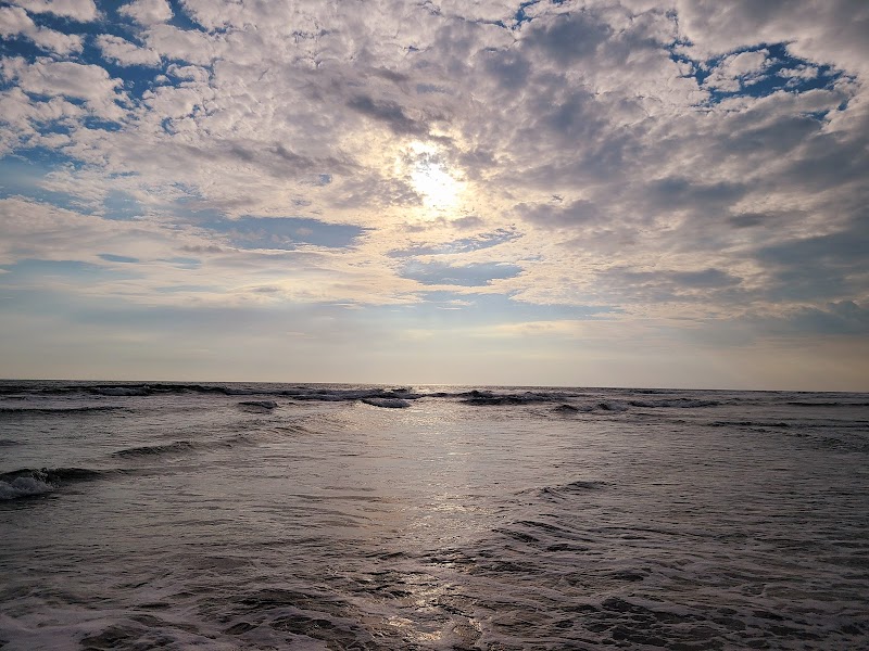 Barra de Santiago Mangroves
