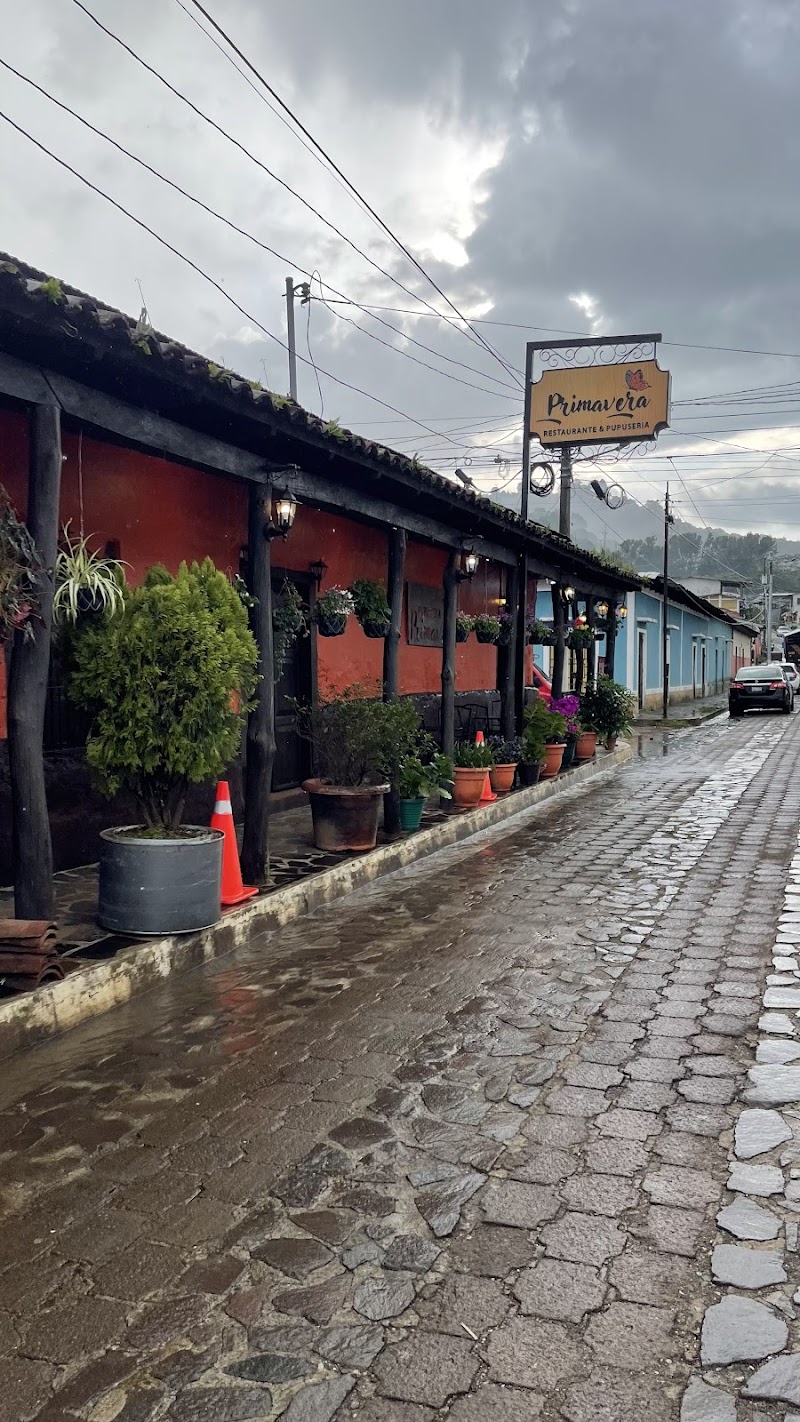 Ataco Coffee Plantation