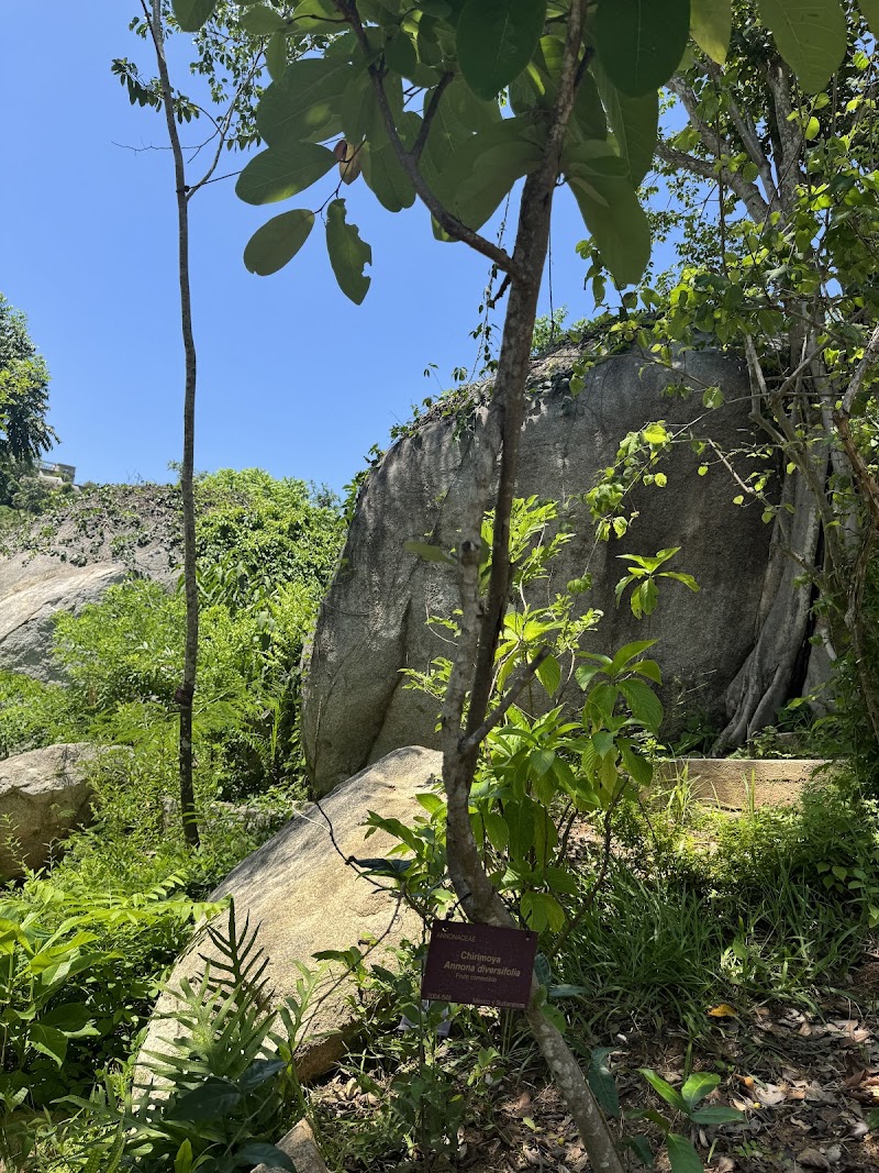 Acapulco Botanical Garden