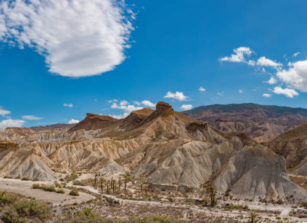 Tabernas Desert