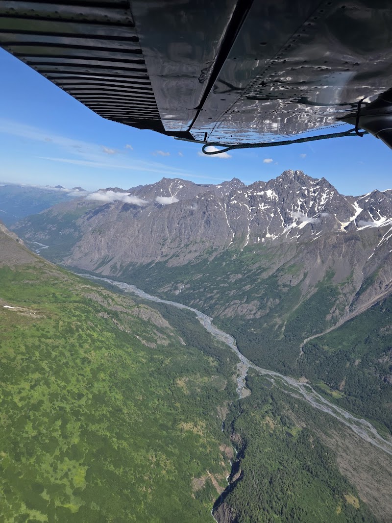 Homer Air Tours (if excursion)