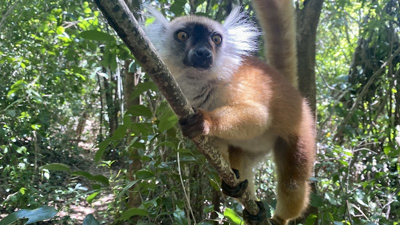 Lokobe Nature Reserve