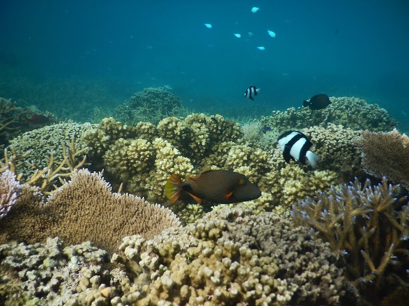 Palolo Deep National Marine Reserve