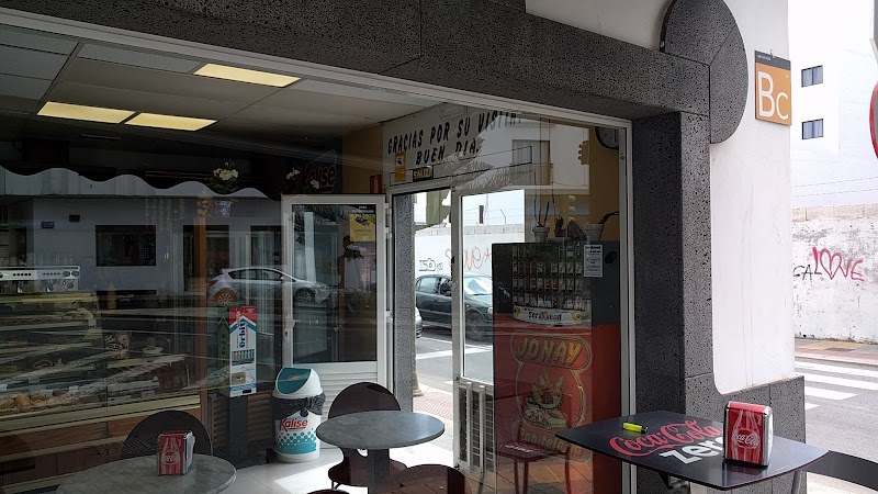 Camels in Plaza Jonay