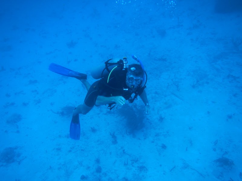 Snorkeling at Mangel Halto