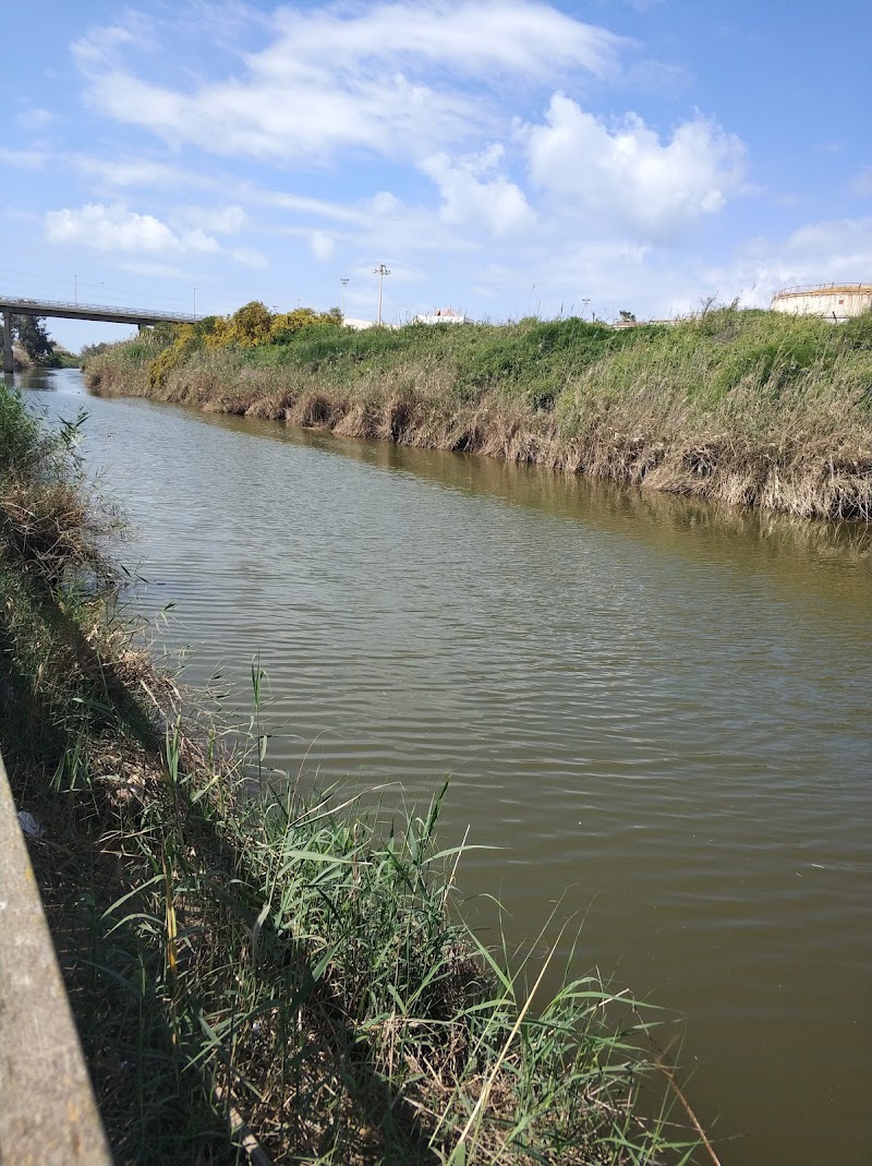 Lachish Archaeological Site