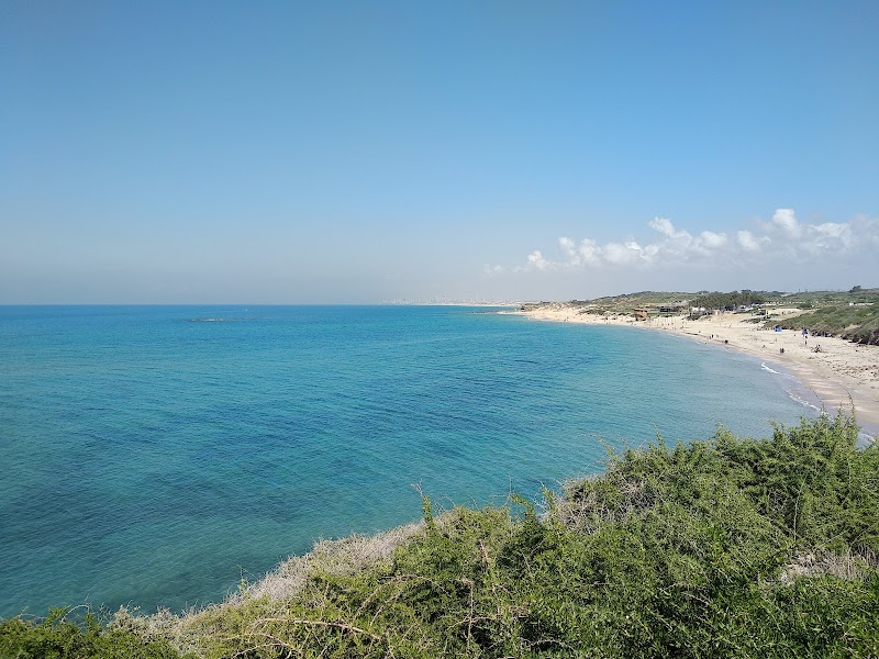 Palmachim Beach