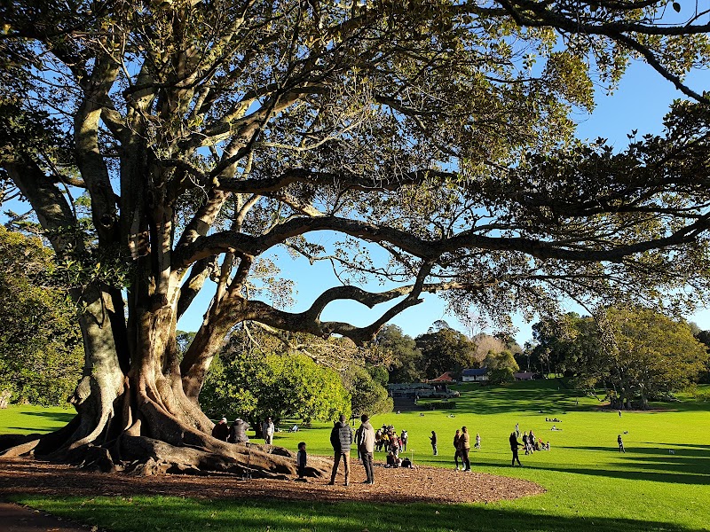Cornwall Park