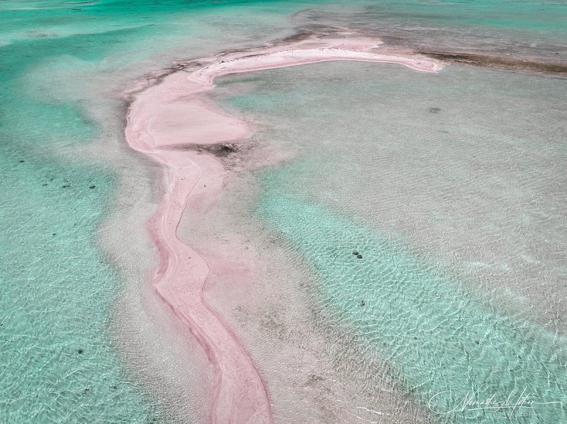 Rangiroa Lagoon Snorkeling
