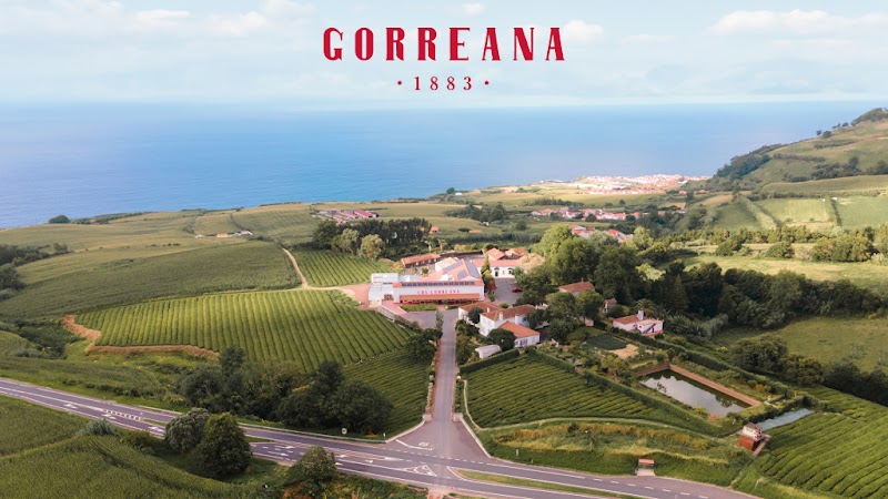 Cha Gorreana Tea Plantation