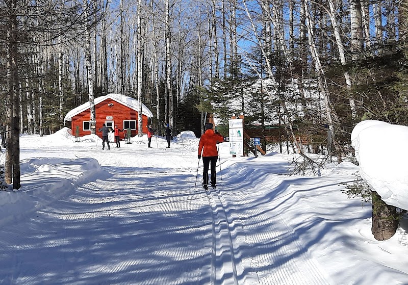 Cross-Country Ski Trails (summer hikes)