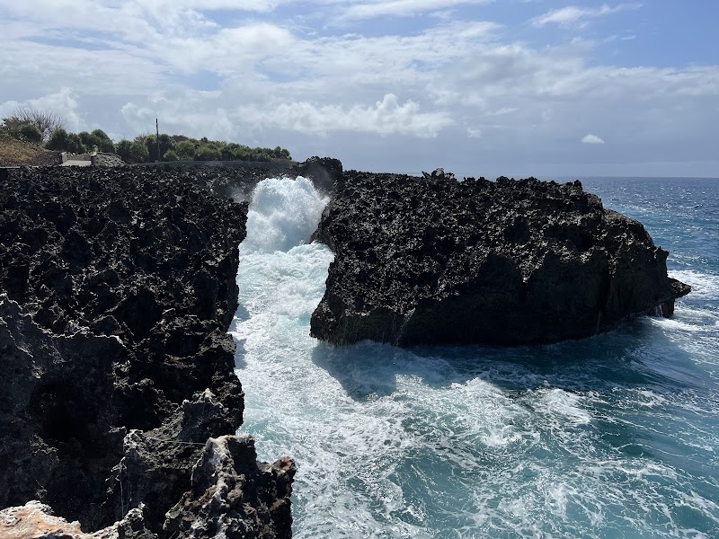 Waterblow Santa Cruz