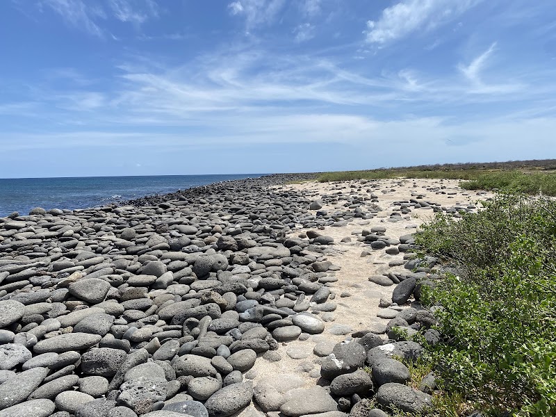 North Seymour Island