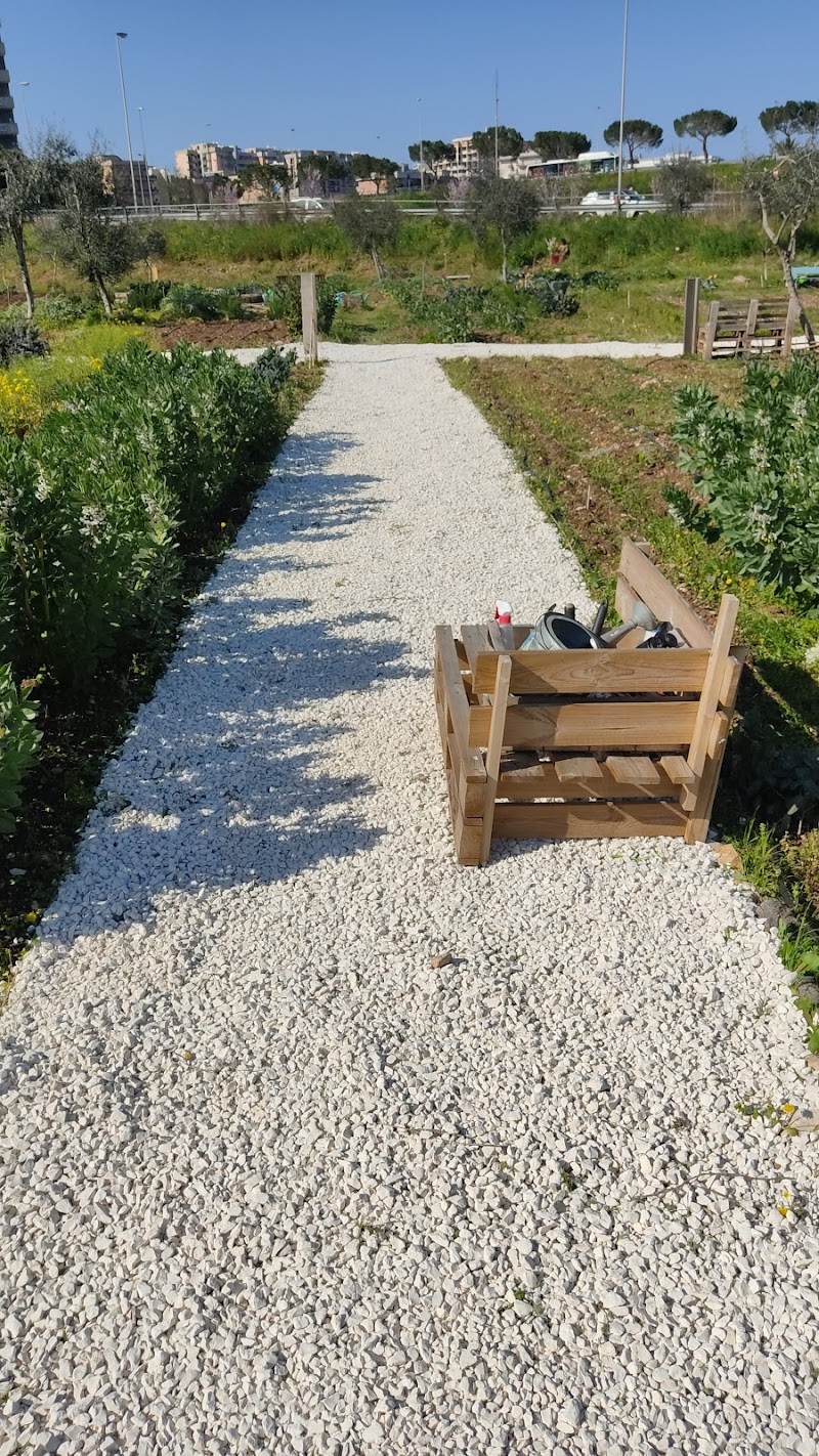 Orto Botanico di Bari