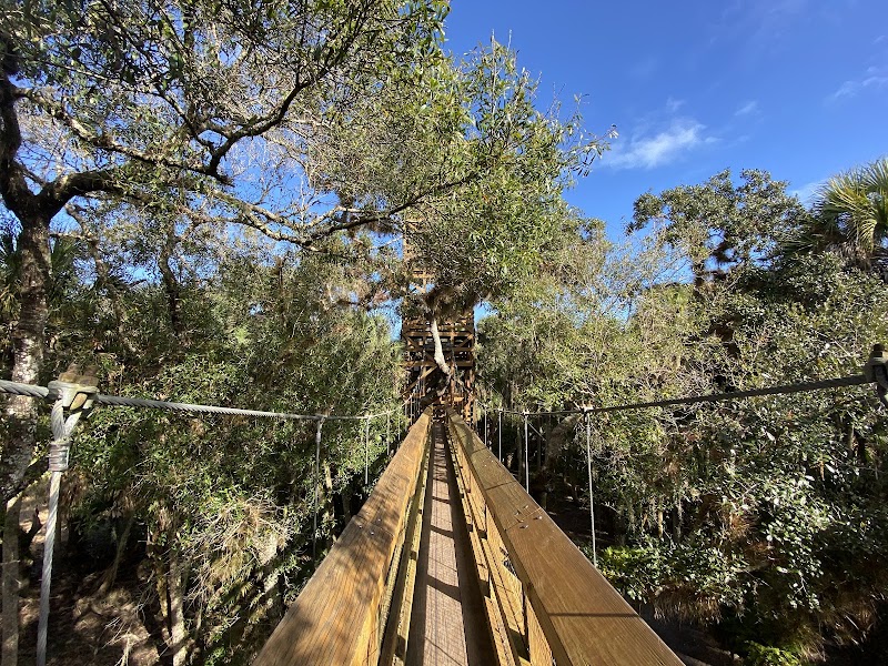 Jungle Canopy Walkway