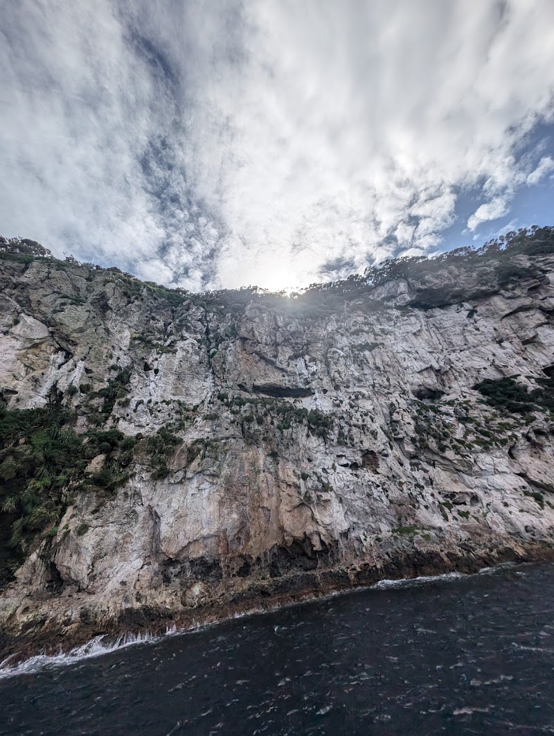 Tawhiti Rahi Pa Site