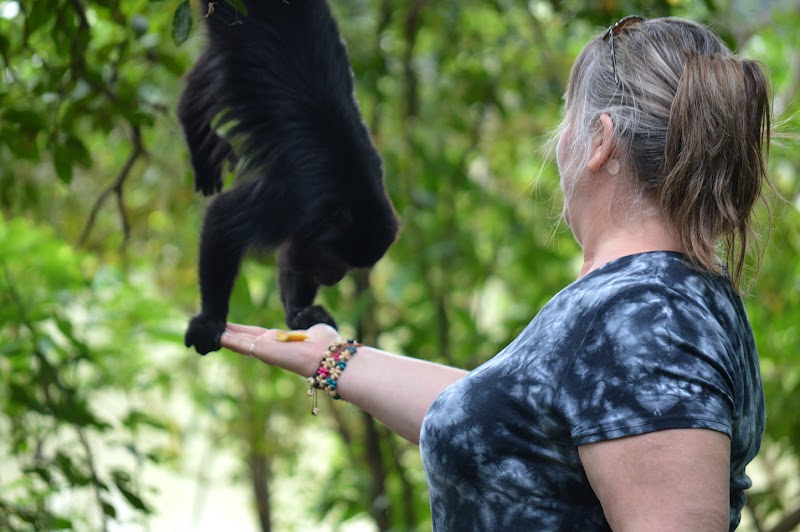 Altun Ha Mayan Ruins