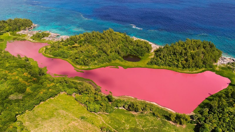 Spittal Pond Nature Reserve