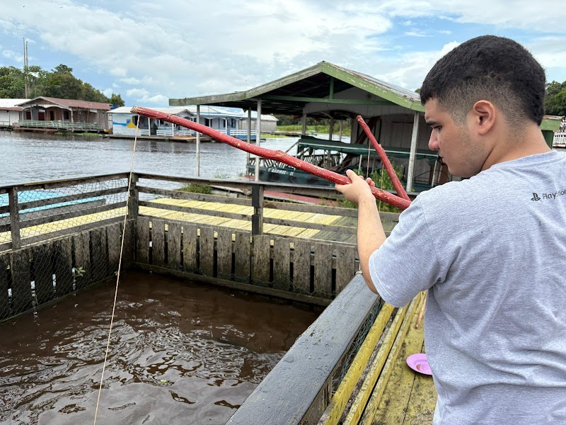 Pirarucu Fish Farm