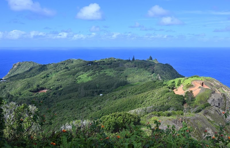 Henderson Island Hike