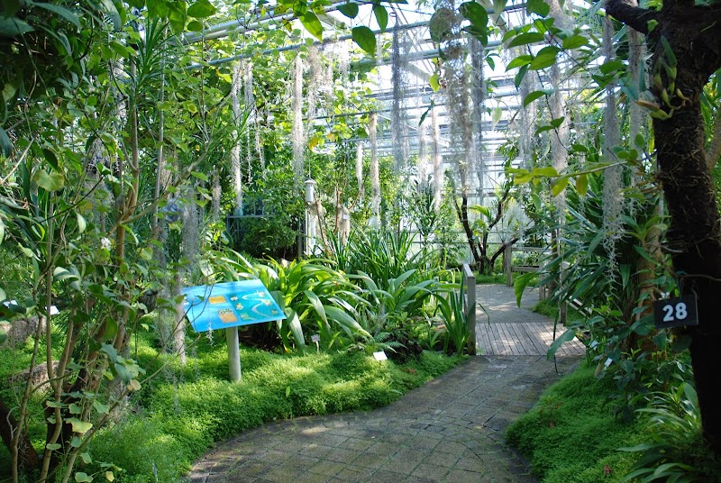 Botanical Gardens (Conservatoire Botanique National)