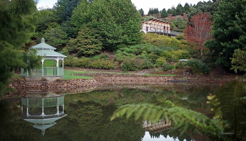 Emu Valley Rhododendron Park