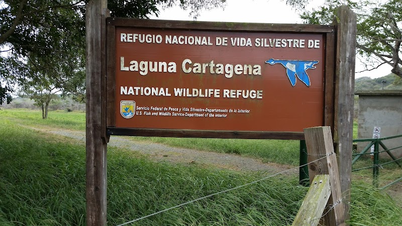 Bird Sanctuary at Laguna Los Cacaos
