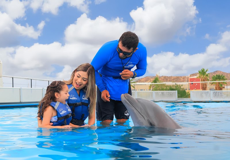 Cabo Dolphin Center