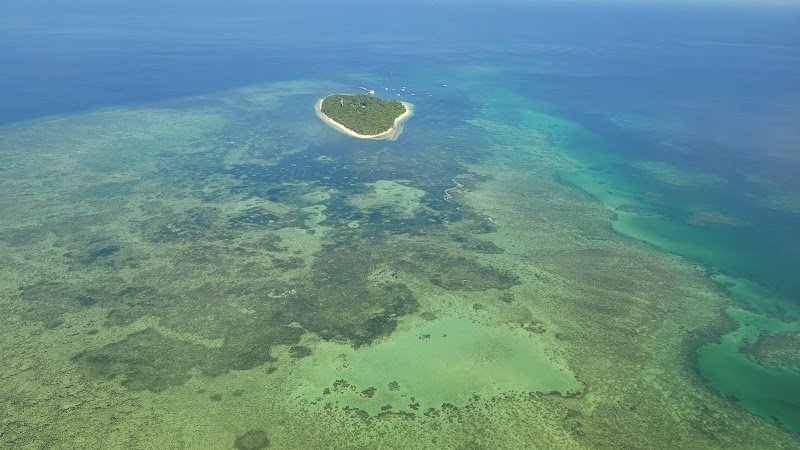 Muddy's Reef (Glass Bottom)
