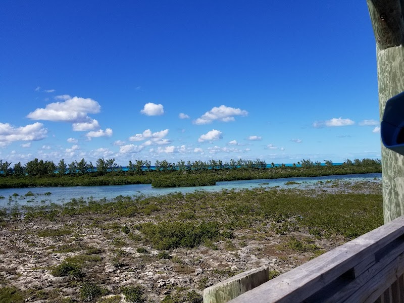 Trek to the Lighthouse