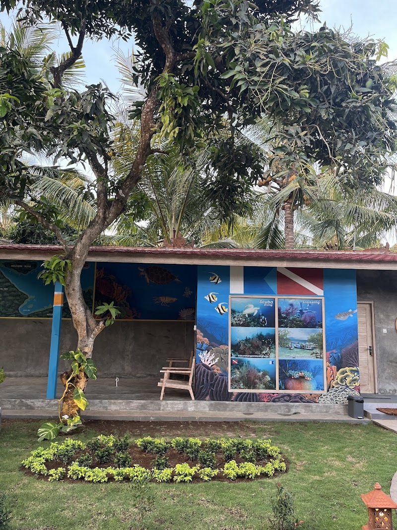 Snorkeling at Menjangan Island