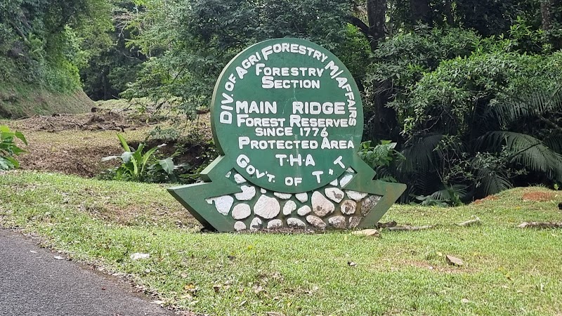 Main Ridge Forest Reserve