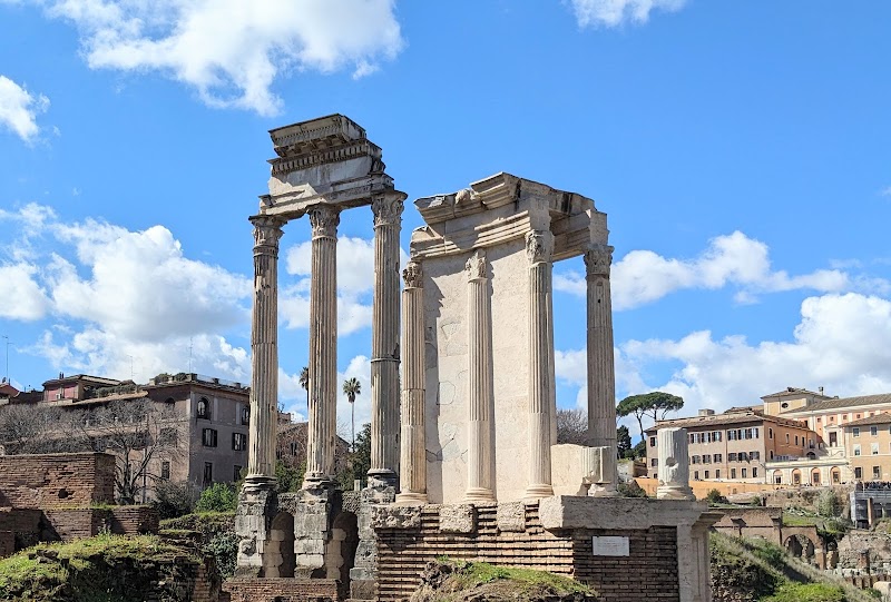 Roman Forum & Palatine Hill