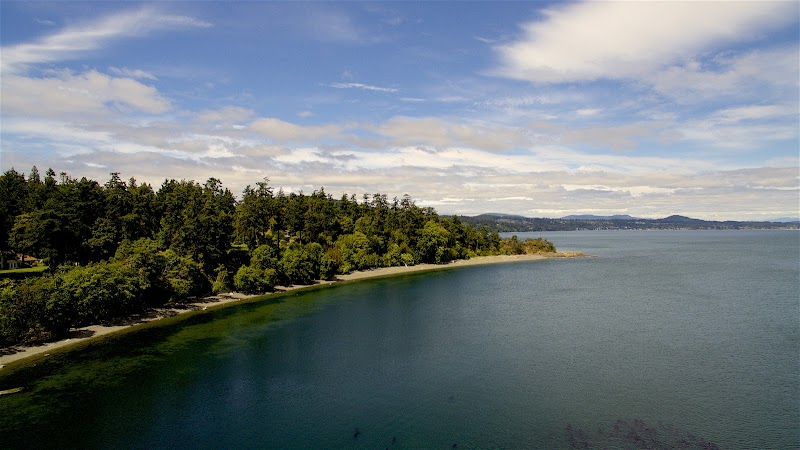 Cormorant Point Beach
