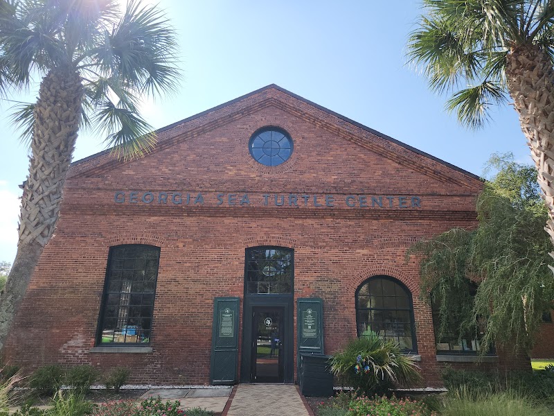 Sea Turtle Feeding Grounds