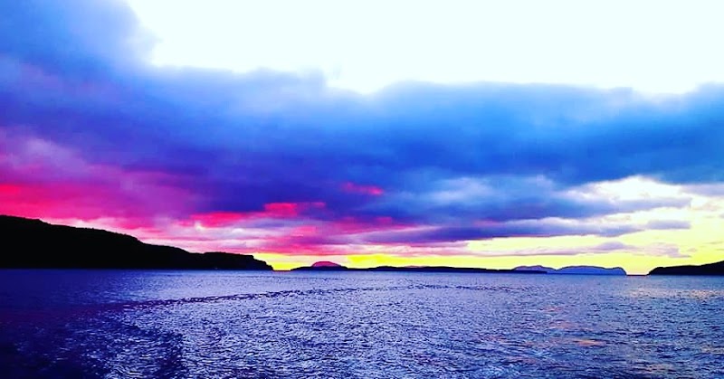 Humber Arm Boat Tour