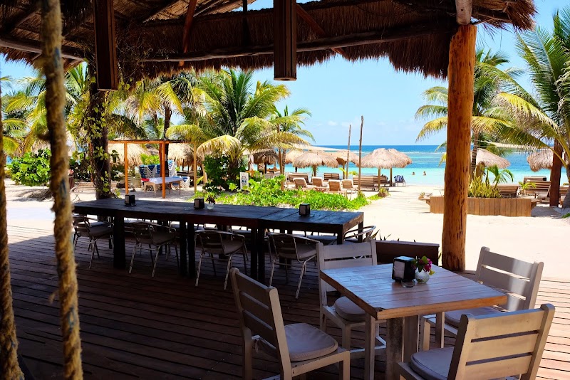 Fresh Seafood Lunch at Beach Clubs