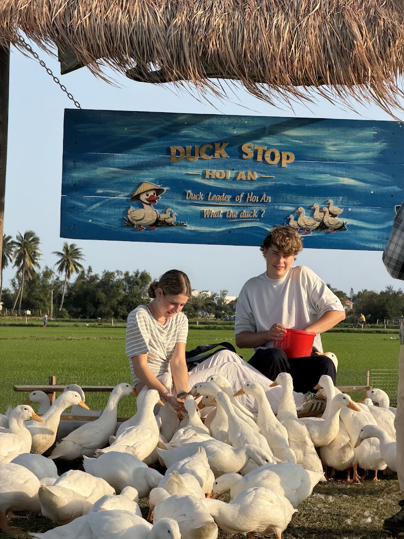 Hoi An Ancient Town (nearby)