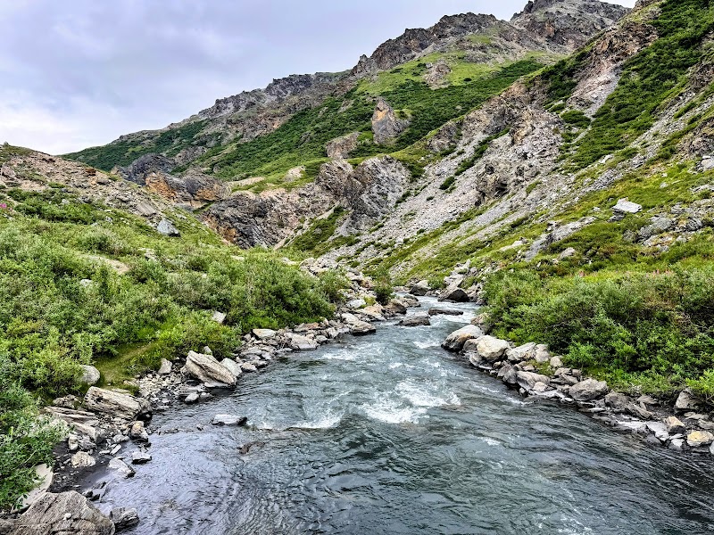 Savage River Loop Trail