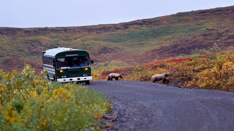 Denali Bus Tours