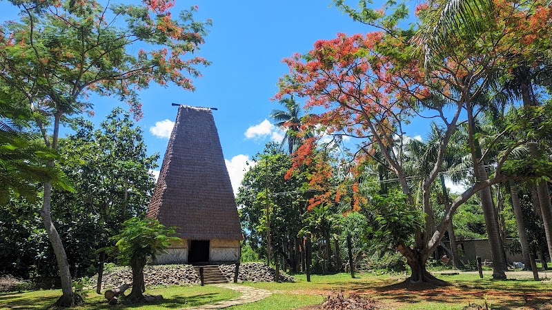 Fijian Village Tour
