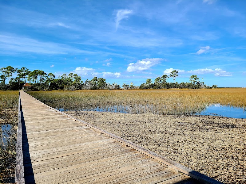 Wildlife Spotting Walks