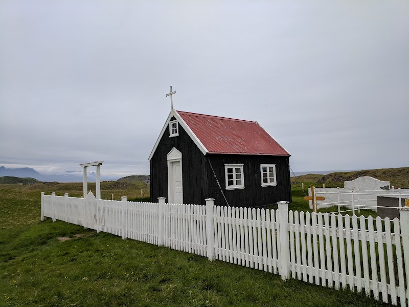 Papey Island Puffin Tour (by boat)