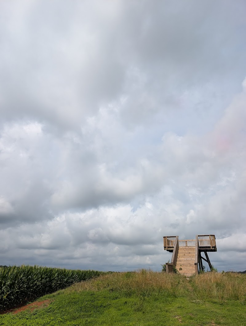 Wildlife Observation Deck