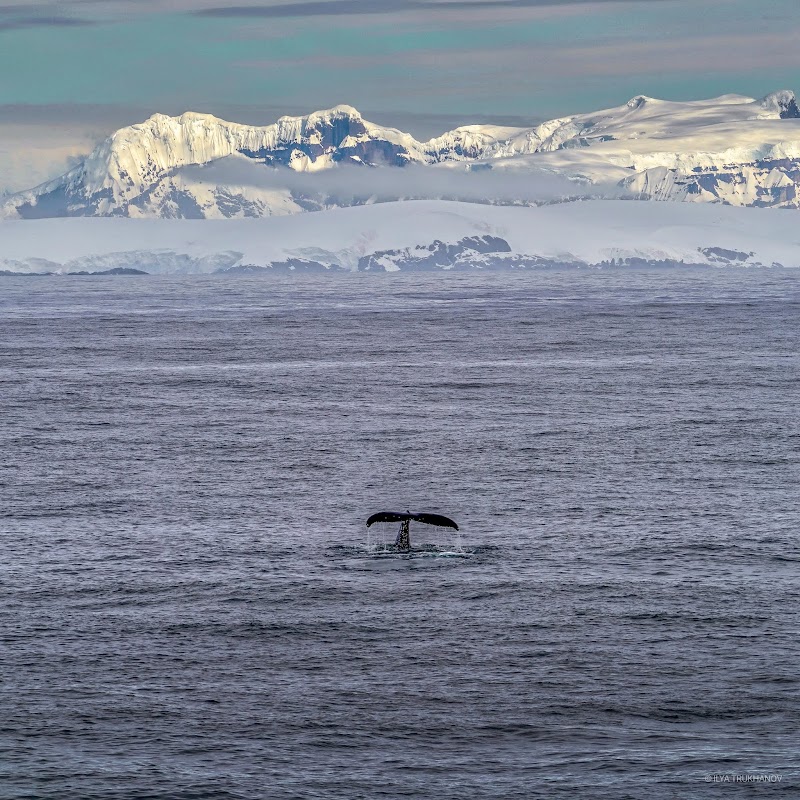 Southern Ocean Views