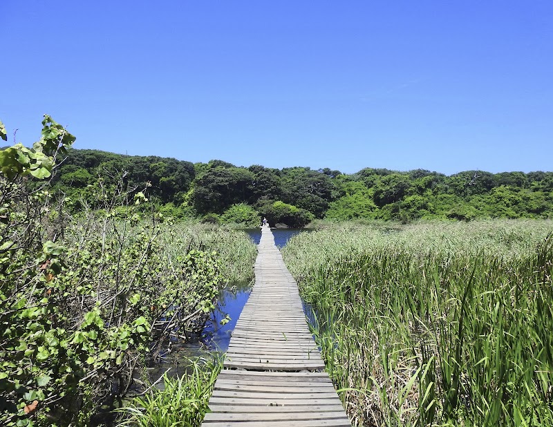Umhlanga Nature Reserve
