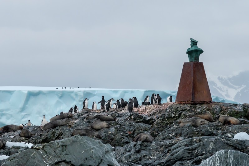 Wildlife Viewing Cruise